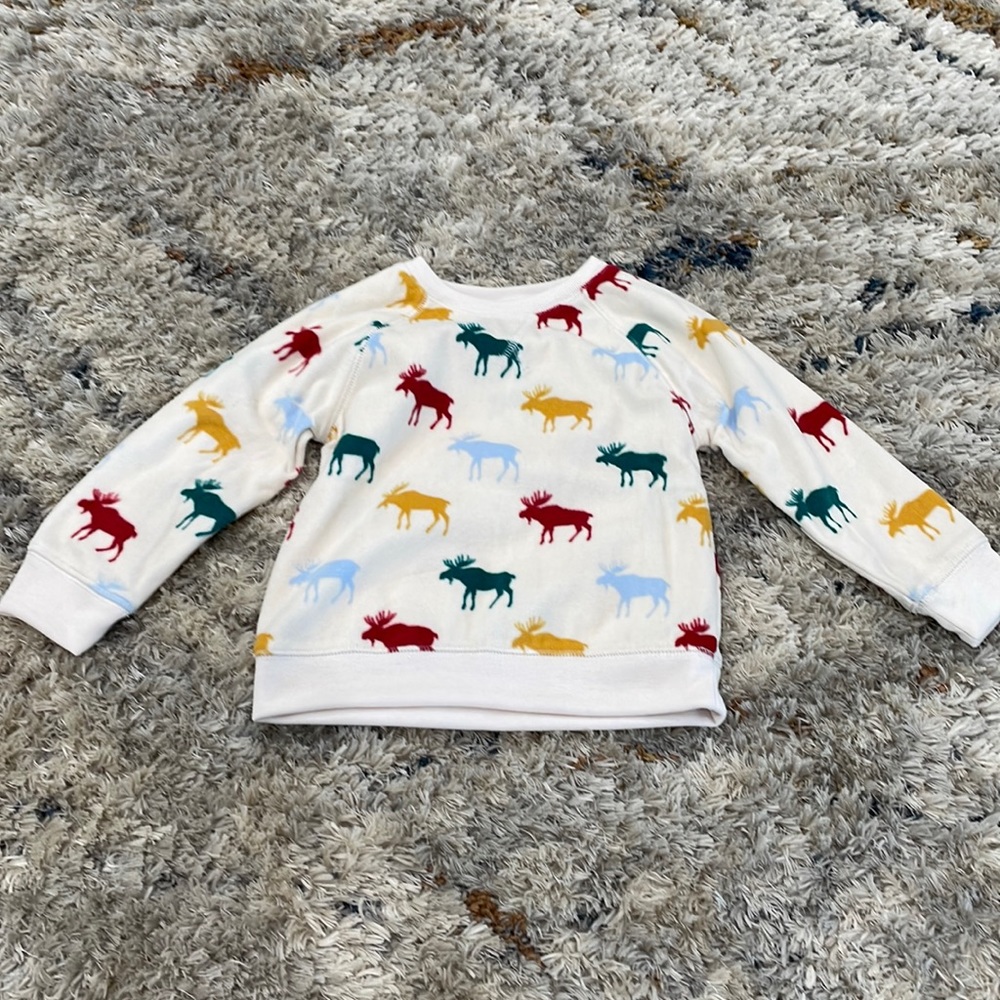 Toddler Fleece Sweatshirt